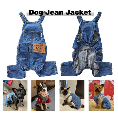 Charlie™ | Mjuk Jeansoverall för Hundar – För den Stilmedvetna Fyrbenta Vännen